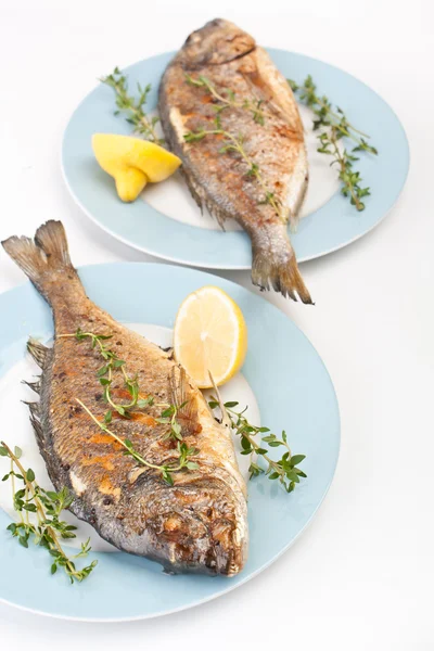 Dorado pescado adornado con verduras , — Foto de Stock