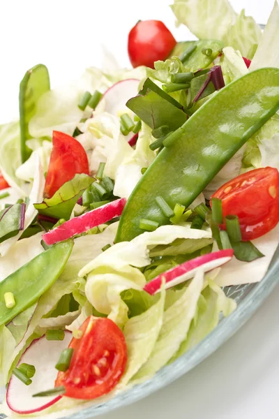 Frisk sallad med bok choy — Stockfoto