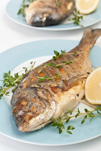 Dorado pescado adornado con verduras , — Foto de Stock