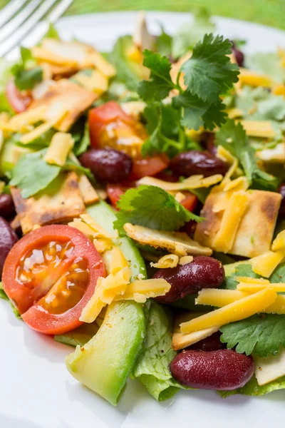 Salada mexicana — Fotografia de Stock