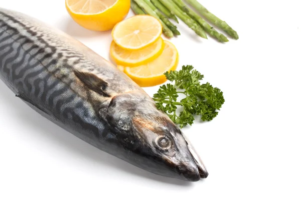 Raw mackerel with parsley and lemon — Stock Photo, Image