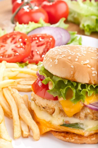 Deliciosa hamburguesa con queso —  Fotos de Stock