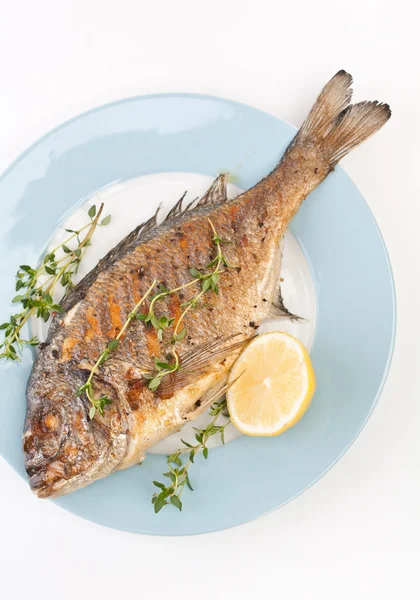Dorado vis gegarneerd met groenten, — Stockfoto