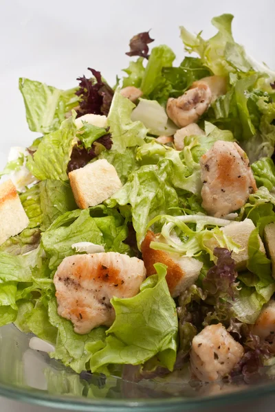 Caesar salad with chicken — Stock Photo, Image