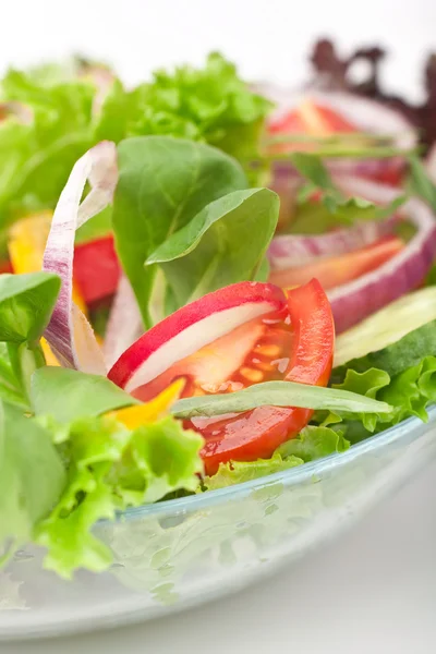 Portion de salade de légumes sains — Photo