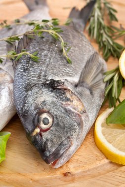 ham dorado balığı hebs ve limon ile