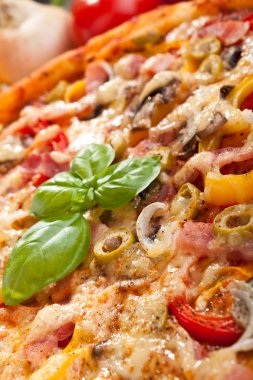 mantarlı pizza