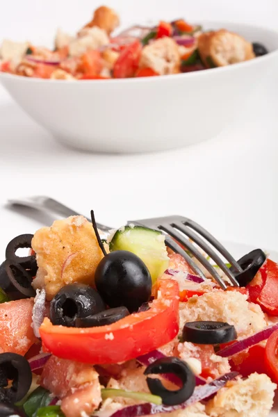 Panzanella Salade van het brood op een witte achtergrond — Stockfoto