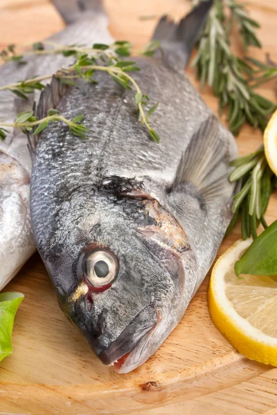 Pescado dorado crudo con hebs y limón —  Fotos de Stock