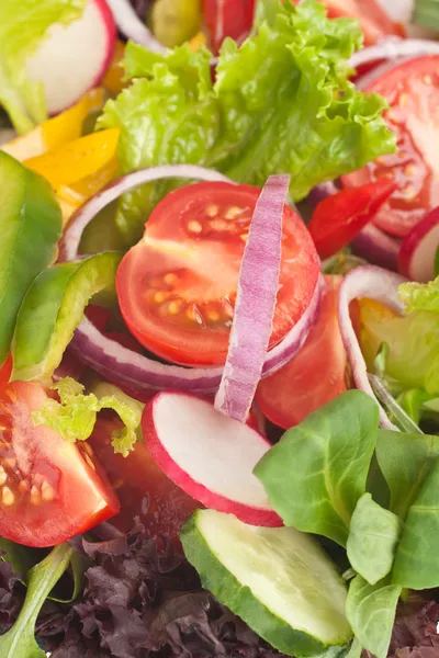 Grönsaker sallad — Stockfoto