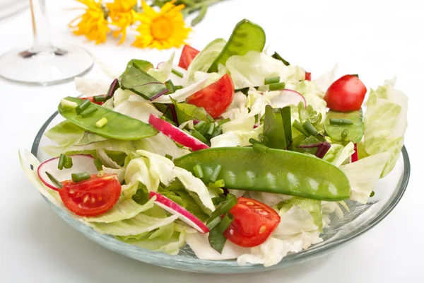 Frisk sallad med bok choy — Stockfoto