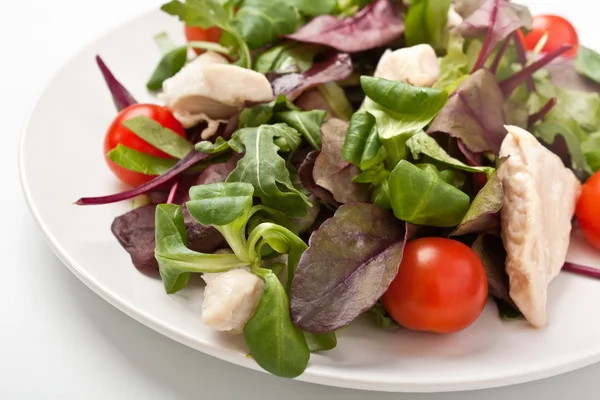 Mezcla de ensalada con pollo —  Fotos de Stock