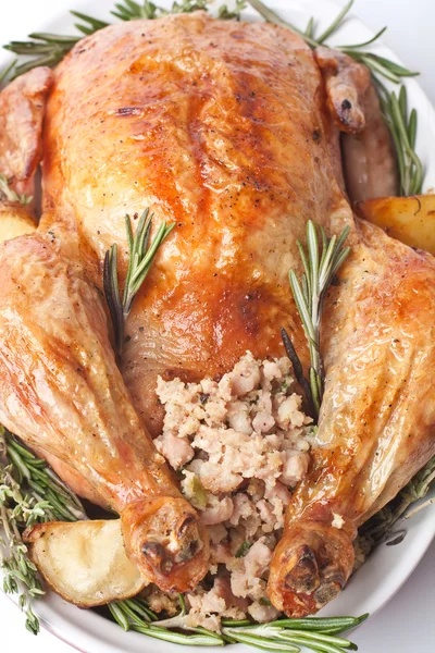 Whole roasted stuffed turkey in a dish Stock Photo