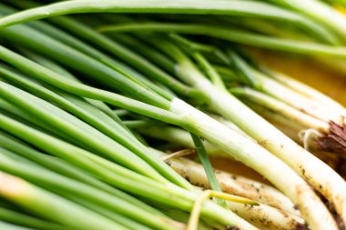 Çimen makro fotoğraf, yumuşak odak, gürültü filtresi kaplama
