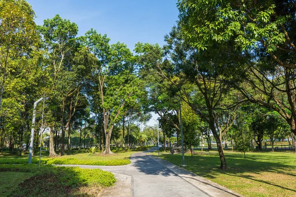 Malezya 'daki Titiwangsa Lake Gardens' ın güzel manzarası.