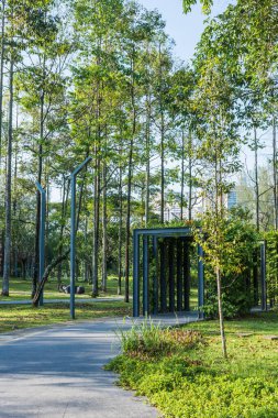 Titiwangsa Lake Gardens, Kuala Lumpur Malezya 'daki bitkilerle güzel bir yürüyüş manzarası..