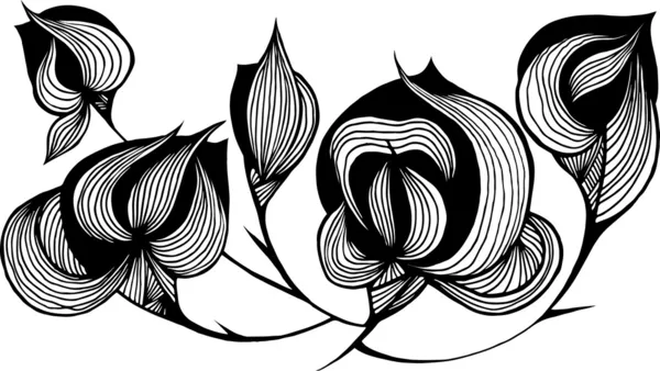 Líneas flor — Vector de stock