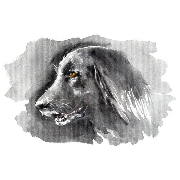 Ilustracja Akwarela Portret Ciemnoczarnego Dużego Psa Ręcznie Rysowany Szkic Białym — Zdjęcie stockowe
