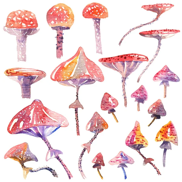 Met Hand Getekende Aquarel Paddenstoelen Schilderen Witte Achtergrond — Stockfoto