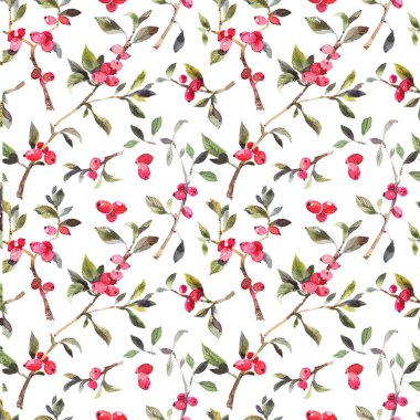 Beyaz arka planda kırmızı böğürtlenli dalın suluboya çizimi. Kusursuz desen.