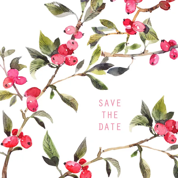 白い背景に赤い果実を持つ小枝の水彩植物イラスト グリーティングカード イラスト カバーのテンプレート — ストック写真