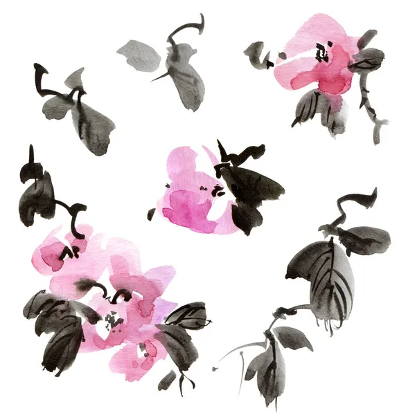 Acuarela Ilustración Tinta Ramita Flores Con Flores Brotes Hojas Color —  Fotos de Stock
