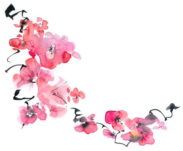 Akwarela Tusz Ilustracja Kwiatu Sakura Gałązka Różowymi Kwiatami Pączkami Orientalne — Zdjęcie stockowe