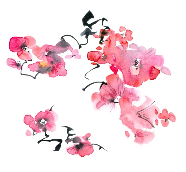 Watercolor Ilustração Tinta Sakura Flor Galho Com Flores Rosa Botões — Fotografia de Stock