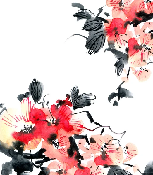 Akwarela Tusz Ilustracja Kwiatu Sakura Gałązka Różowymi Kwiatami Pączkami Orientalne — Zdjęcie stockowe