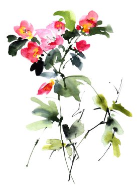 Çiçeklerin suluboya ve mürekkep çizimi - pembe çiçekler ve tomurcuklarla çiçek açması. Sumi-e sanatı.