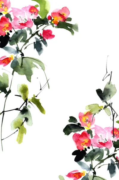 Watercolor Ink Illustration Flowers Blossom Plant Pink Flowers Buds Sumi — Stock Photo, Image