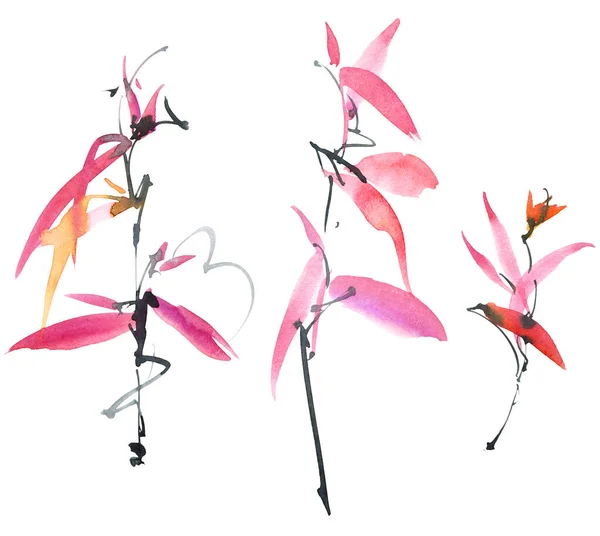 Illustrazione Acquerello Inchiostro Pianta Fiore Con Foglie Fiori Rosa Boccioli — Foto Stock