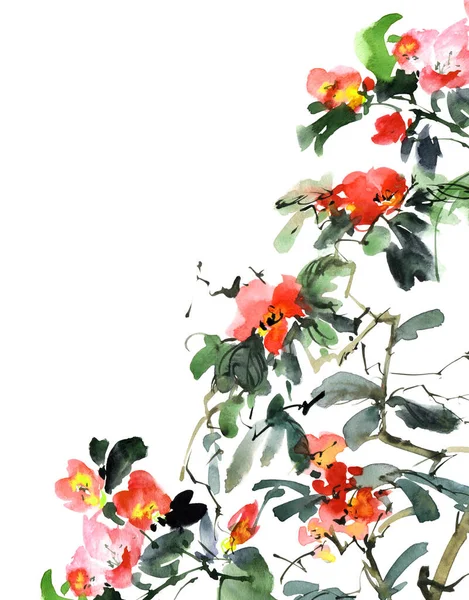 花の水彩とインクのイラスト ピンクの花と芽を持つ花の植物 すみえ — ストック写真