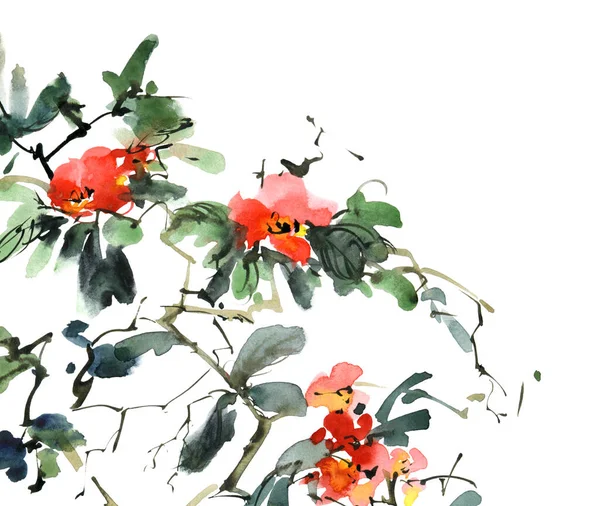 Akvarell Och Bläck Illustration Blommor Blomma Växt Med Rosa Blommor — Stockfoto