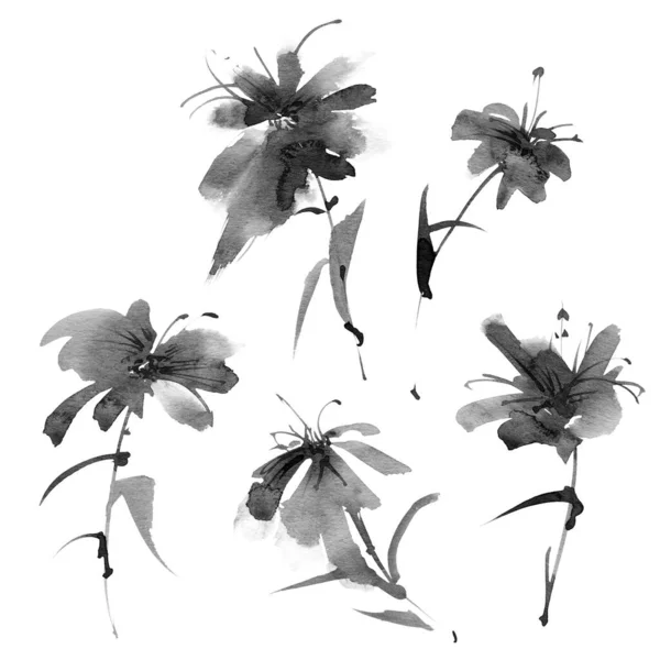Ink Painting Flowers Set Flowers Leaves White Background Oriental Traditional — Stok fotoğraf
