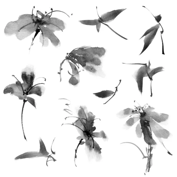 Ink Painting Flowers Set Flowers Leaves White Background Oriental Traditional — Stok fotoğraf