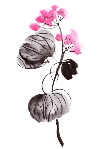 Watercolor Ink Illustration Blossom Geranium Oriental Traditional Painting Sumi Gohua — Stock Photo, Image