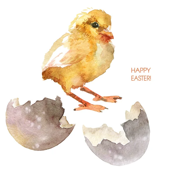 Illustrations Aquarelles Mignonne Petite Poussin Coquille Oeuf Cassée Joyeux Pâques — Photo