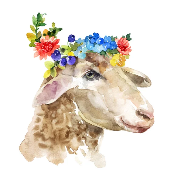 头戴花环的绵羊肖像水彩画 — 图库照片