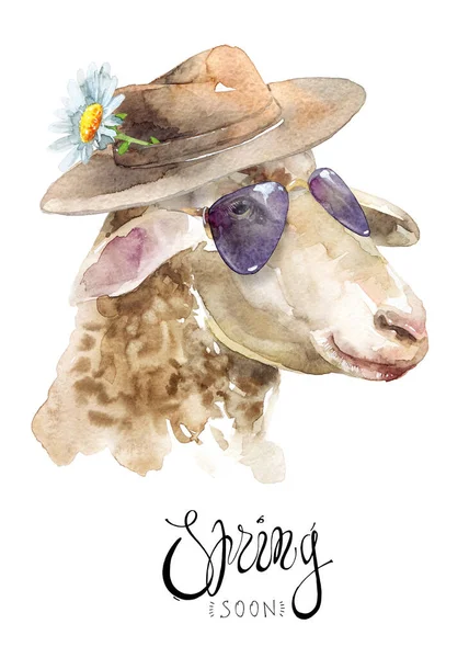 Watercolor Illustration Sheep Portrait Eyeglasses Hat Chamomile Flower Hat Greeting — Stock Photo, Image