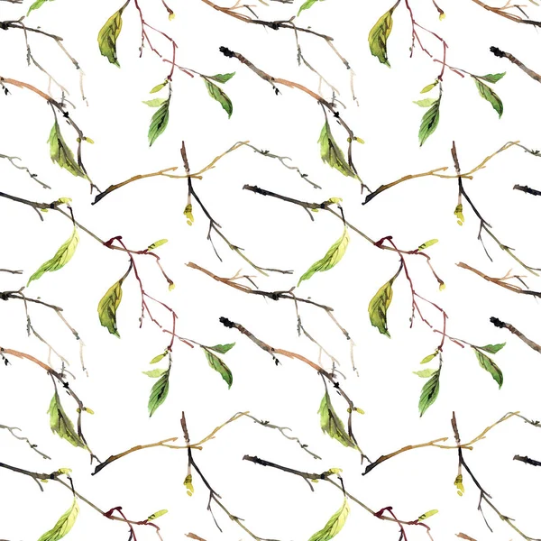 Watercolor Seamless Pattern Tree Branches Green Leaves White Background — Stock Photo, Image