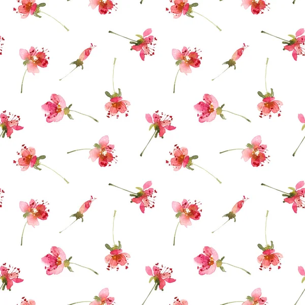 Watercolor Seamless Pattern Pink Flowers — Stock Photo, Image