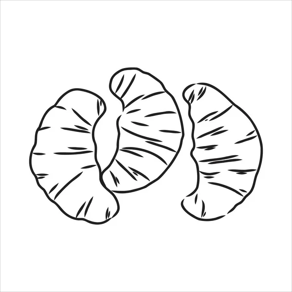 Croissant Doodle, een hand getrokken doodle vectorillustratie van een Croissant. — Stockvector