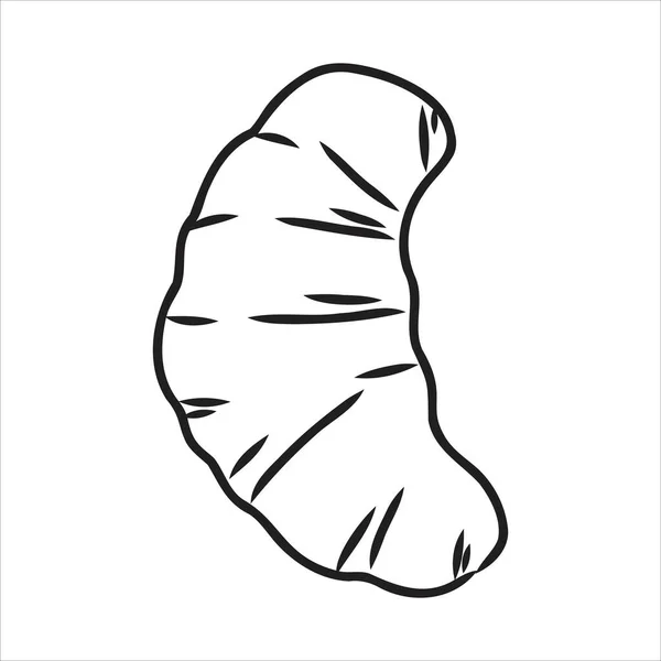 Croissant Doodle, uno scarabocchio vettoriale disegnato a mano illustrazione di un Croissant . — Vettoriale Stock
