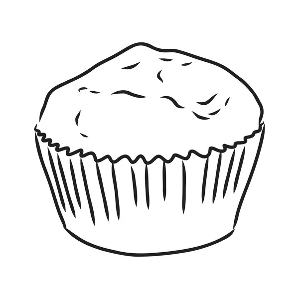 Drawing of a cup cake cupcake vector sketch — Stock Vector