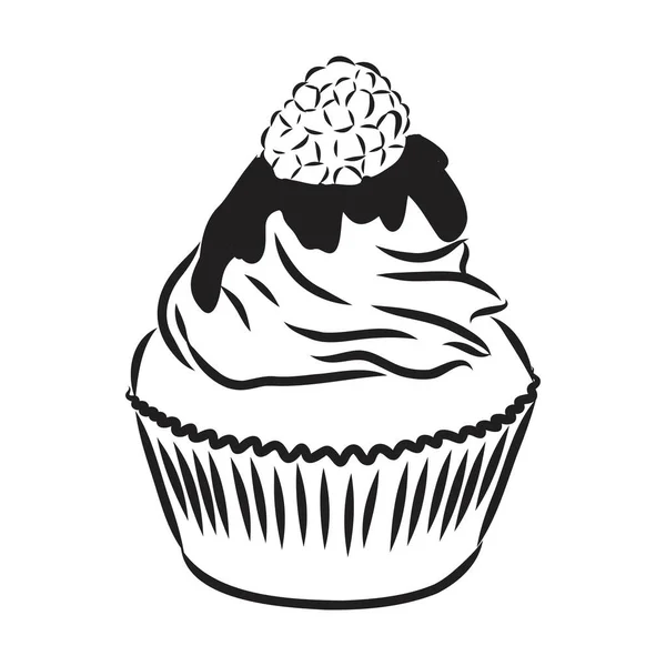 Dibujo de una taza de pastel cupcake vector bosquejo — Archivo Imágenes Vectoriales