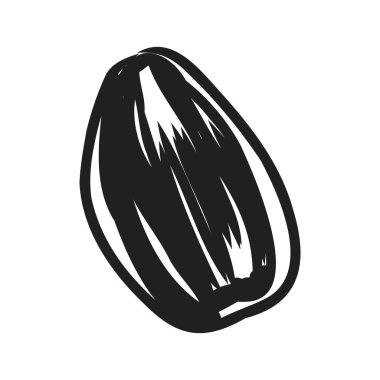 Ayçiçeği tohumlarının el çizimi vektör çizimi. Poster, kart, tekstil, tarif, kafe menüsü tasarımı için elementler.