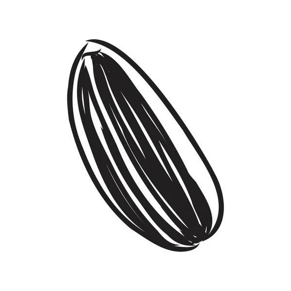 Ilustración vectorial dibujada a mano de semillas de girasol. Elementos para el diseño de carteles, tarjetas, textiles, recetas, menú de café. — Archivo Imágenes Vectoriales