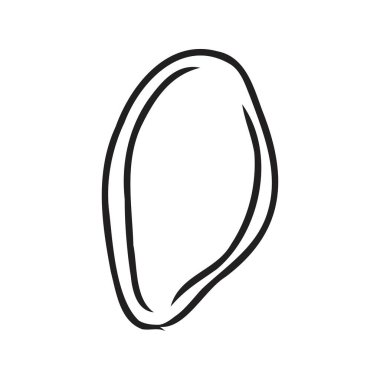 Beyaz arka planda izole edilmiş bir avuç balkabağı tohumu çizimi. Sebzelerin vektör çizgisi çizimi. Gıda ve doğal ürün tasarımı için dekoratif unsur.