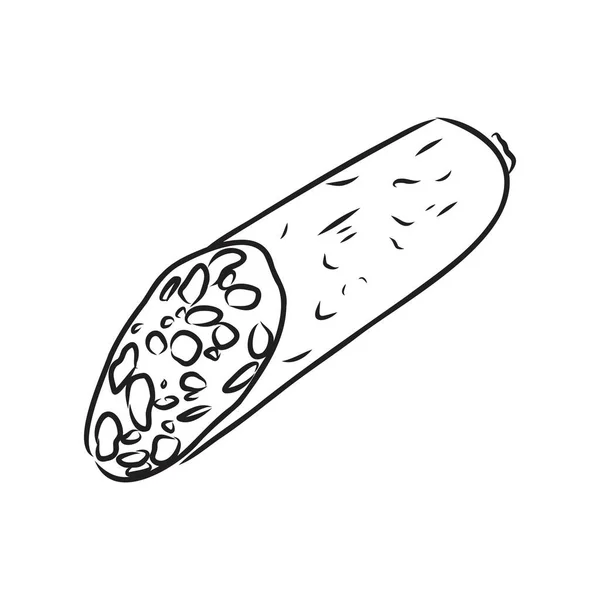 Ensemble de croquis avec saucisse, salami, saucisse maison. Illustration alimentaire. Produits de viande frais biologiques. Illustrations vectorielles dessinées main. icônes de la nourriture Freehand pour menu de restaurant ou conception d'emballage alimentaire . — Image vectorielle